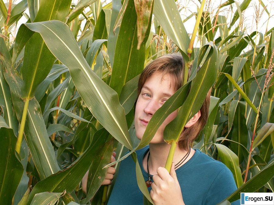 A thin student pleases herself with corn right in the field. Photo 2