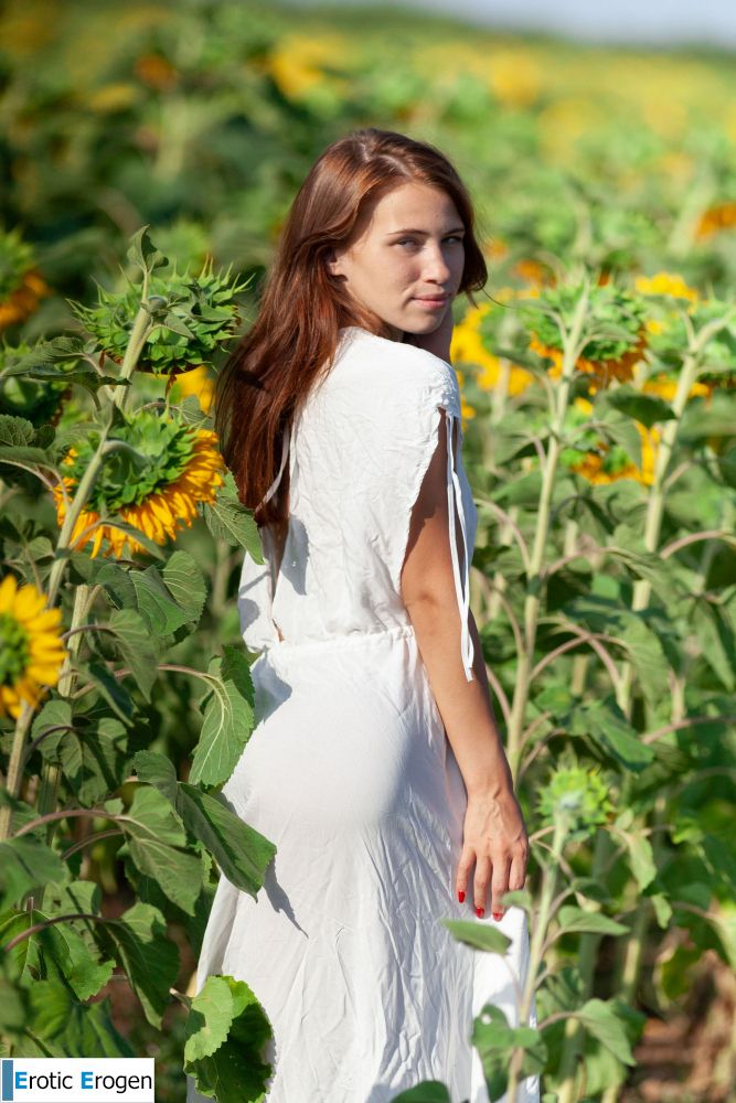 Melania in Sunflowers. Picture 1