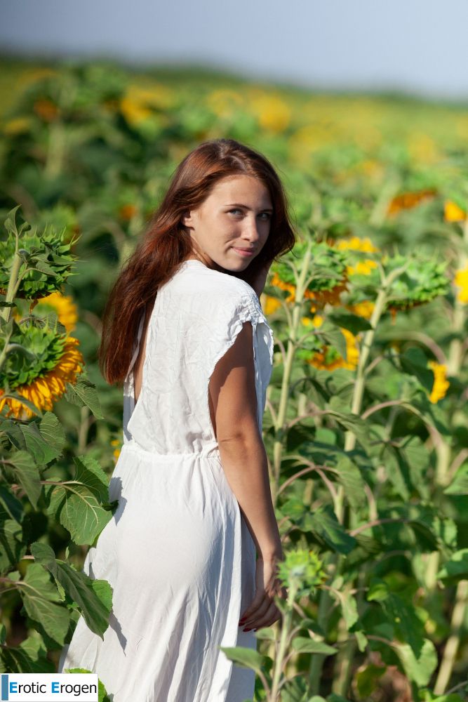 Melania in Sunflowers. Picture 2